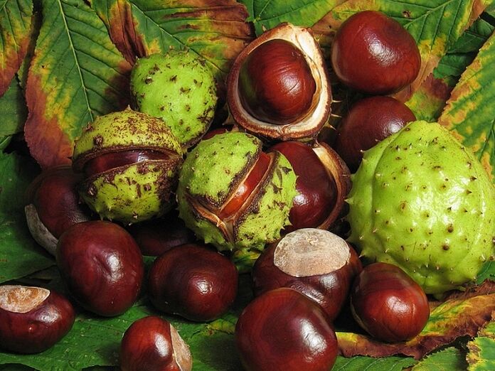 Horse chestnut to prepare the VRV infusion