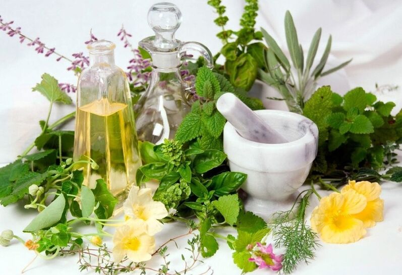 A variety of medicinal herbs for compresses against varicose veins